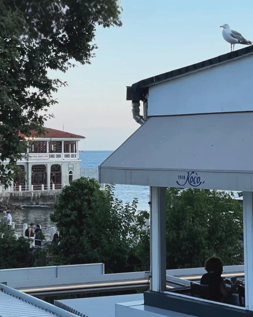 Moda Koco restoranının deniz manzaralı terasından görünen bu karede, çatıda zarifçe duran beyaz bir martı, yemyeşil ağaçların ötesindeki tarihi Moda İskelesi ve masmavi denizin huzur veren atmosferi bir araya geliyor.