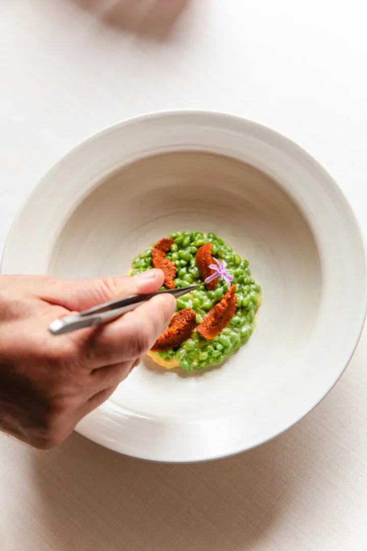 Cımbızla ince bir mor çiçek garnitürünün tabağa özenle yerleştirildiği bu yakın çekim müze restoranlarında sunulan gastronomi deneyimlerinin ne denli sanatsal ve incelikli olabildiğini gösteriyor; ana yemek parlak yeşil bezelye tanelerinden oluşan dairesel bir taban üzerinde, dikkat çekici turuncu-kırmızı deniz kestanesi parçalarıyla süslenmiş durumda.