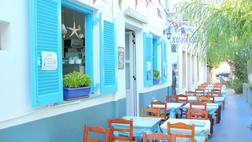 Patmos Adası'nda ne yenir başlığına uygun olarak, turkuaz panjurlu beyaz bir binanın açık penceresinden deniz yıldızı ve deniz kabukları görülen, kaldırımda sıralanmış açık mavi örtülü masaları ve ahşap sandalyeleriyle sokakta uzanan şirin bir tavernanın dış mekan yemek alanı, yeşil bitkilerin gölgesinde hoş bir ambiyans sunuyor.