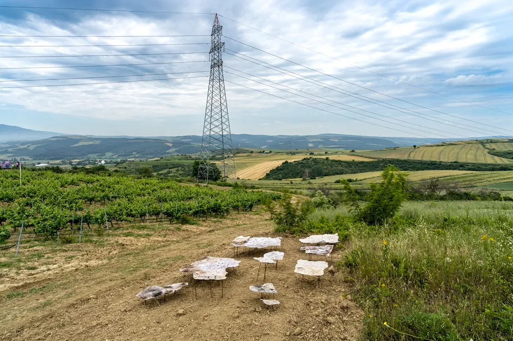 Bağların ve uzak tepelerin uzandığı, büyük bir elektrik direğinin yükseldiği doğal bir peyzajda, Barbare Studio'nun Temas Bölgesi sergisinden, ince metal ayaklar üzerinde duran farklı boyutlarda düzensiz şekilli açık renkli sanat eserleri toprağa yayılmış durumda.