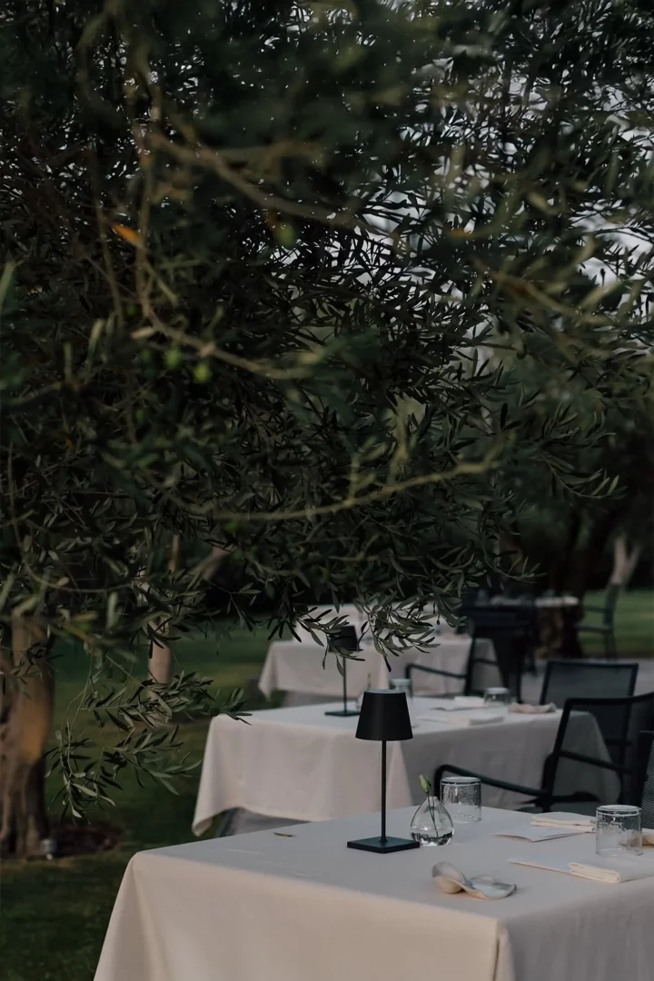Büyüleyici bir teruar ambiyansında, zeytin ağacının dalları arasından görünen açık hava restoranında, beyaz örtülü şık masalar üzerinde modern siyah lambalar ve zarif sofra takımları dikkat çekiyor.
