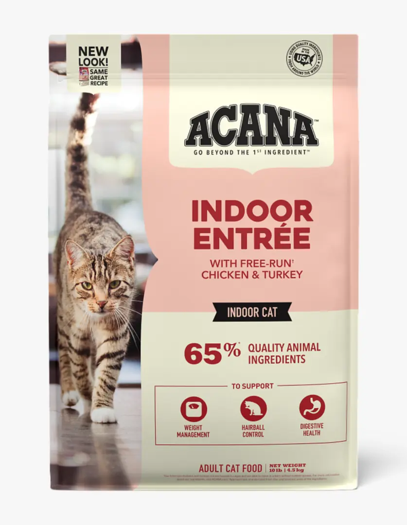 Bir tekir kedi, Acana Indoor Entrée kedi maması paketinin önünde yürürken, paket üzerinde kaliteli hayvansal içerik, serbest dolaşan tavuk ve hindi ile kapalı alan yetişkin kedileri için kilo kontrolü, tüy yumağı ve sindirim sağlığına destek sağladığı bilgisi yer alıyor.