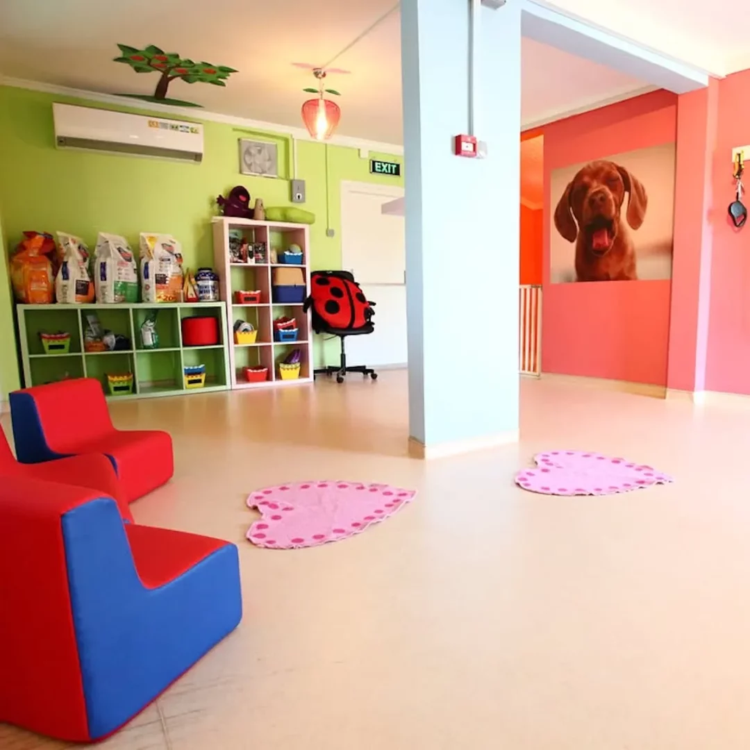 İstanbul'daki evcil hayvan otellerinden birini yansıtan bu resimde, mamaların ve oyuncakların düzenli raflarda yer aldığı yeşil duvarlı bir bölüm ile neşeli bir köpek resminin ve kalp şeklinde halıların bulunduğu pembe duvarlı oyun alanı dikkat çekiyor.
