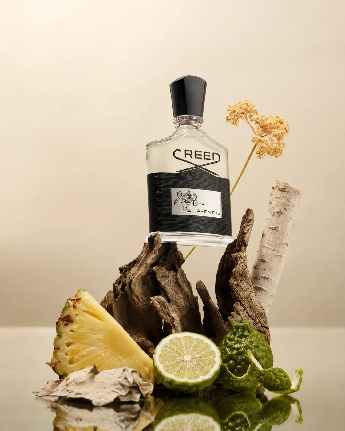Erkek parfümleri dünyasının önde gelen kokularından Creed Aventus'un siyah etiketli şişesi, yansıtıcı bir zeminde, gür çam odunu, bir dilim ananas, kesilmiş bergamot ve kuru sarı çiçeklerle çevrelenerek dikkat çekici bir estetik sunuyor.