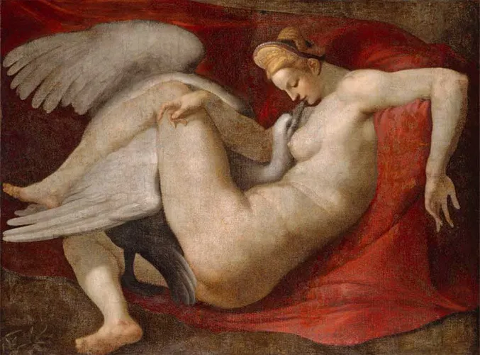 Michelangelo'nun kayıp eserlerinden biri olan Leda ve Kuğu tablosunda, kırmızı bir kumaş üzerinde zarifçe yatan çıplak Leda'nın bembeyaz tüyleriyle dikkat çeken bir kuğuyla iç içe geçmiş romantik ve mitolojik anı detaylandıran klasik bir kompozisyon resmedilmiştir.
