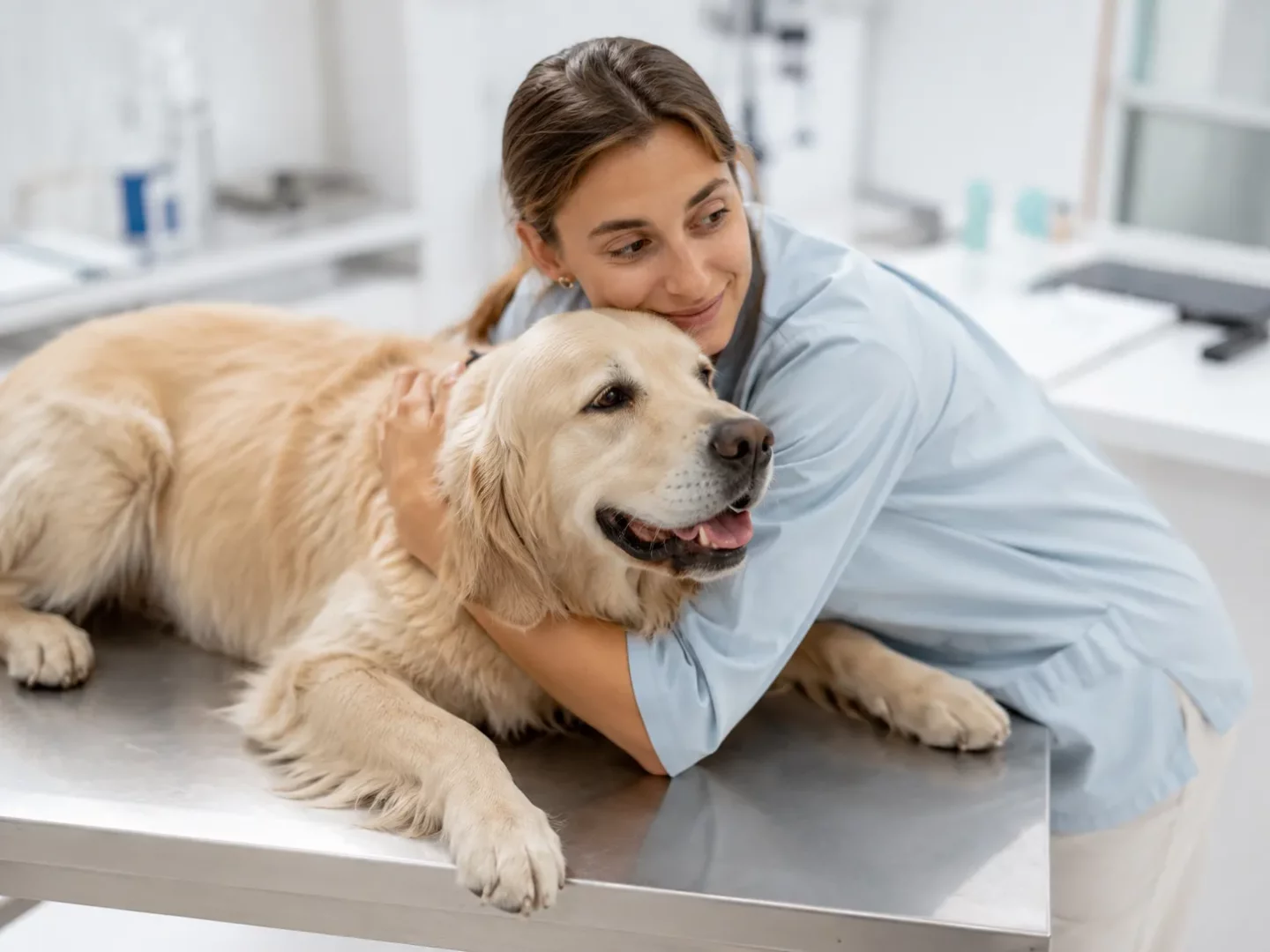 Bir veteriner kliniğinde, açık mavi üniforma giymiş, gülümseyen bir kadın, muayene masasında yatan sakin bir Golden Retriever köpeği şefkatle kucaklıyor ve köpek bit-pire kontrolü gibi rutin sağlık kontrolleri için rahatlamasına yardımcı oluyor.