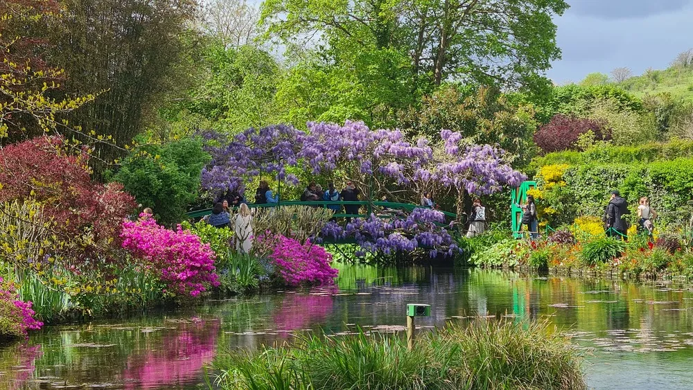Monet'nin Giverny'deki sanatçı evlerinin bahçesinden, üzerinde mor salkım ağaçlarının sarktığı yeşil bir köprünün ve pembe çiçeklerin suya yansıdığı nilüfer havuzunun etrafında dolaşan ziyaretçileri gösteren, rengarenk ve capcanlı bir manzara.