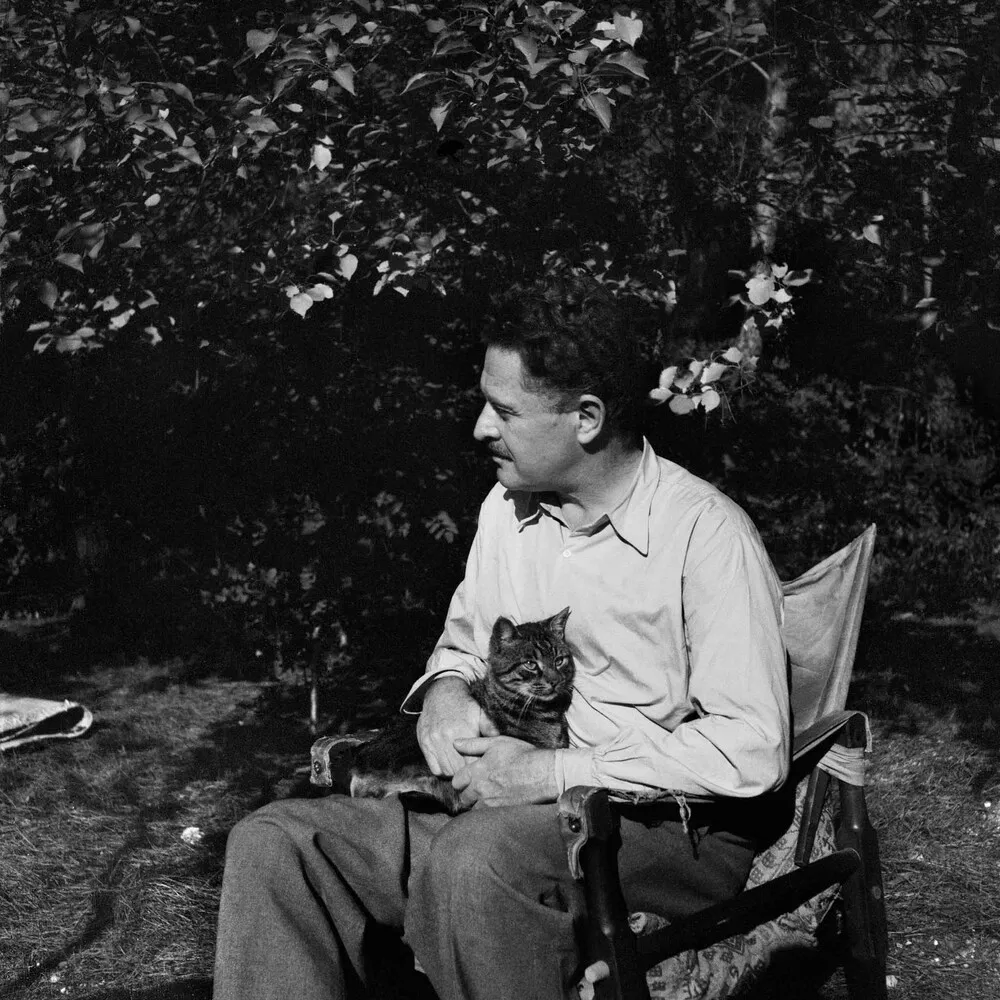 Nâzım Hikmet, 1950'lerde çekildiği anlaşılan bu siyah beyaz fotoğrafta, bahçede bir sandalyede otururken kucağında gri-kahverengi çizgili bir kedi tutuyor; hafif gölgeli bir ağacın altında huzurlu bir şekilde sağına doğru bakıyor.