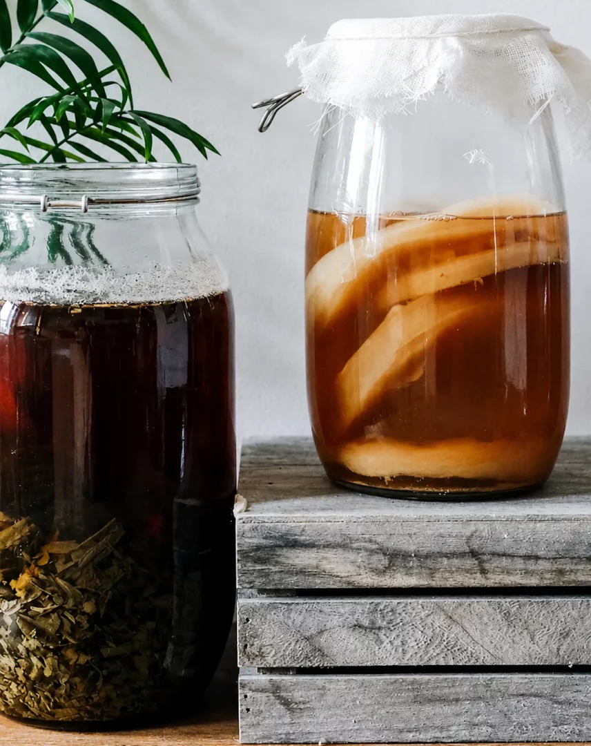 Kumaş örtülü bir cam kavanozda yüzen açık renkli SCOBY katmanlarıyla mayalanan kombucha ve bitki bazlı koyu renkli bir karışım içeren kapaklı diğer cam kavanoz, postbiyotikler ve fermente içeceklerin evde hazırlanışını gösteriyor.