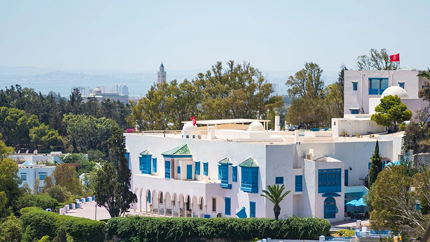 Tunus'un Sidi Bou Said köyünün kendine özgü beyaz badanalı evleri, masmavi pencere ve kapı detayları, yemyeşil ağaçlar arasına gizlenmiş şekilde, ufukta uzanan Akdeniz'in pırıl pırıl sularıyla çevrelenmiş büyüleyici bir manzarayı sergiliyor.