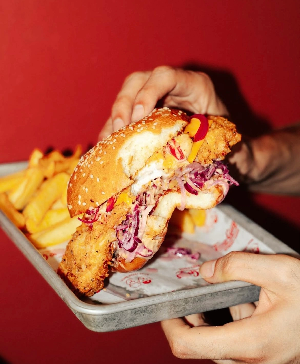 Bir kişi, kırmızı fon önünde, üzerinde patates kızartmaları bulunan metal bir tepsideki susamlı ekmek arasına yerleştirilmiş, çıtır pane tavuk, mor lahana salatası ve soslarla zenginleştirilmiş, ısırılmış doyurucu bir tavuk sandviçi tutuyor.