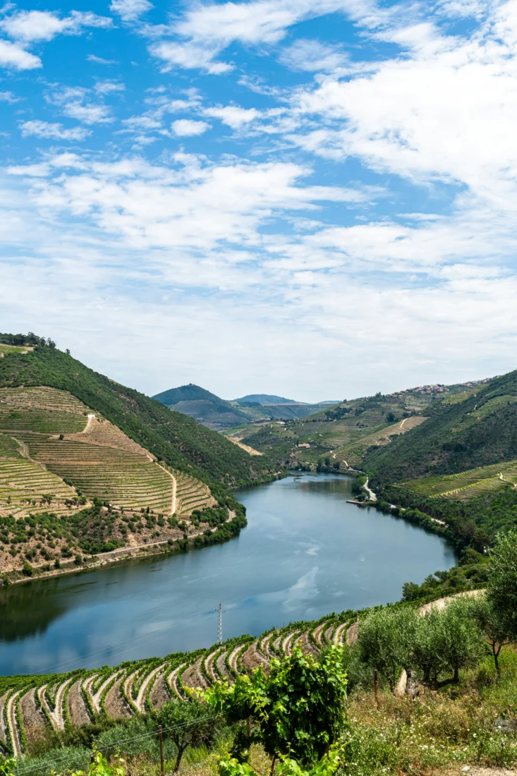 Portekiz'in Douro Vadisi'nde bağ bozumu mikro mevsimi sırasında, nehrin kıvrımları boyunca uzanan, sonbaharın ilk renklerini barındıran katmanlı teras bağları ve vadiye serpiştirilmiş küçük binaları kuşbakışı gösteren görkemli bir panorama.
