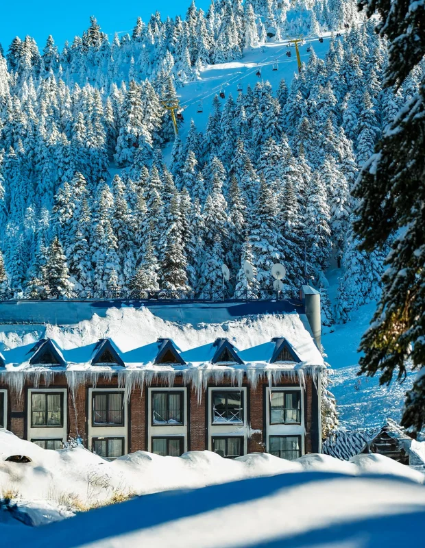 Oksijen Hotel'in çağdaş tasarım anlayışını yansıtan, geniş pencerelerden sızan doğal ışıkla aydınlanmış ve misafirlerine huzurlu bir dinlenme ortamı sunan şık ve minimalist bir iç mekan, modern mimari detaylarla zenginleştirilmiştir.