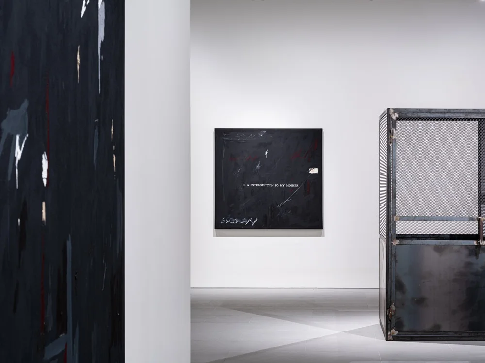 Sanat eserleriyle dolu modern bir sergi alanında, Seul Sanat Haftası'ndaki bir röportaj sırasında konuşmacı, dinleyicilere veya kameraya dönük şekilde sanat üzerine düşüncelerini aktarırken, arka plandaki çeşitli çağdaş enstalasyonlar dikkat çekiyor.