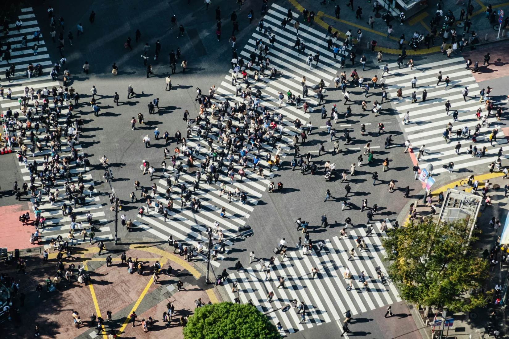 Tokyo'nun ikonik Shibuya Kavşağı'nda, neon ışıkların ve hareketli trafiğin ortasında, şehrin sürekli yenilenen modern yüzüyle zengin geleneklerinin bir araya gelerek sunduğu öğrenme odaklı seyahat deneyimlerinin canlı atmosferi yansıyor.