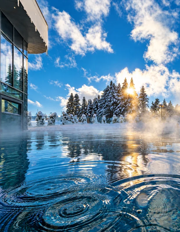 Swissôtel'in zarif modern mimari tasarımını sergileyen bu aydınlık ve geniş otel restoranı, şehir manzaralı pencerelerden gelen doğal ışıkla aydınlanmış, uzun ahşap masalar ve konforlu sandalyelerle lüks bir ambiyans sunarak misafirlere unutulmaz bir deneyim vadediyor.